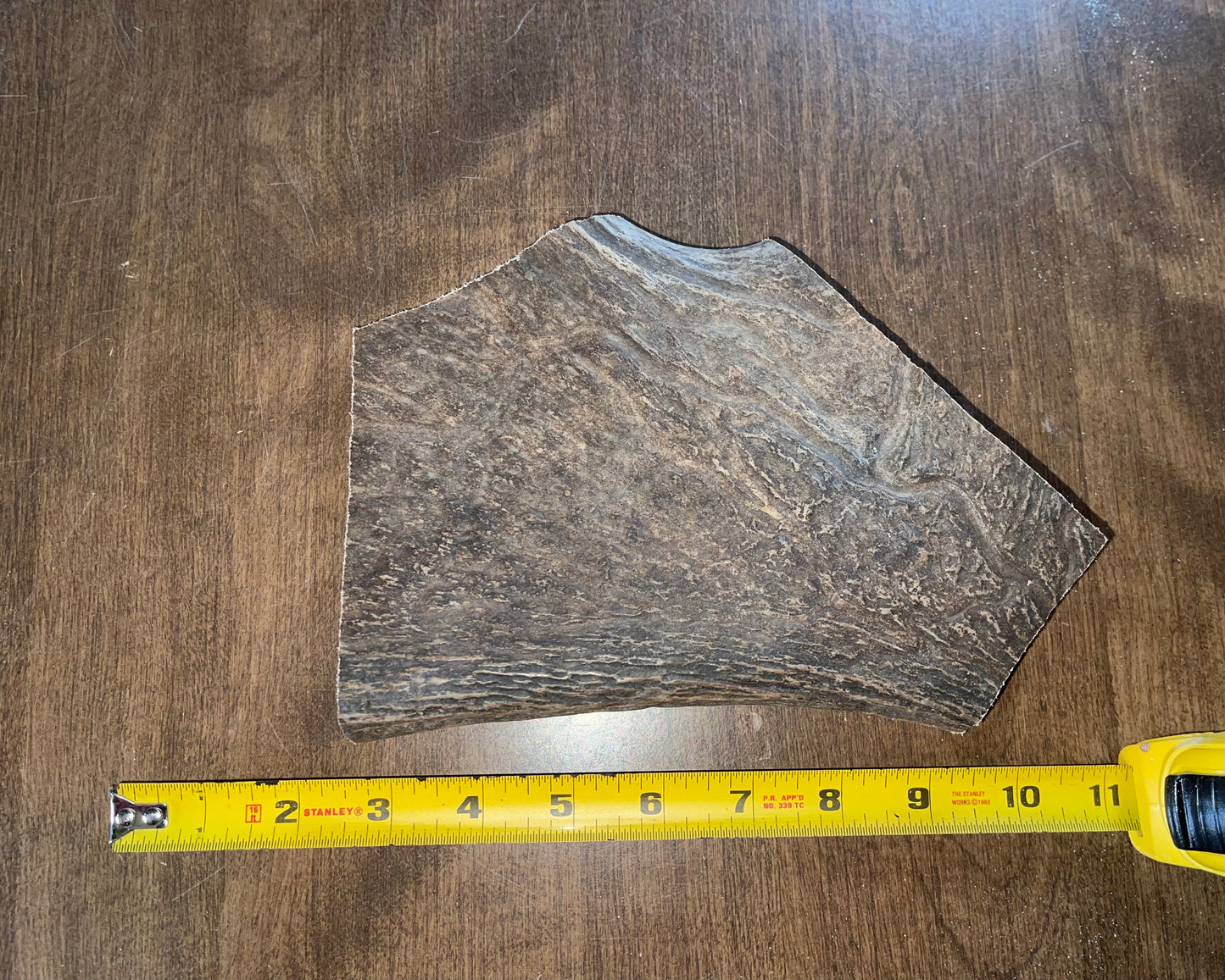 Jan-7 XL Plus Moose Paddle for good chewers