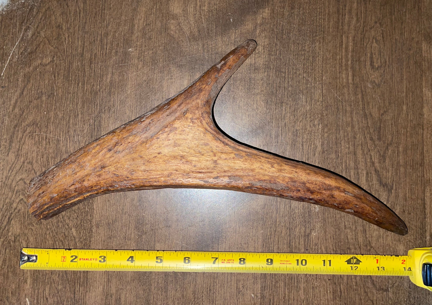 BF-32-Monster Moose Paddle