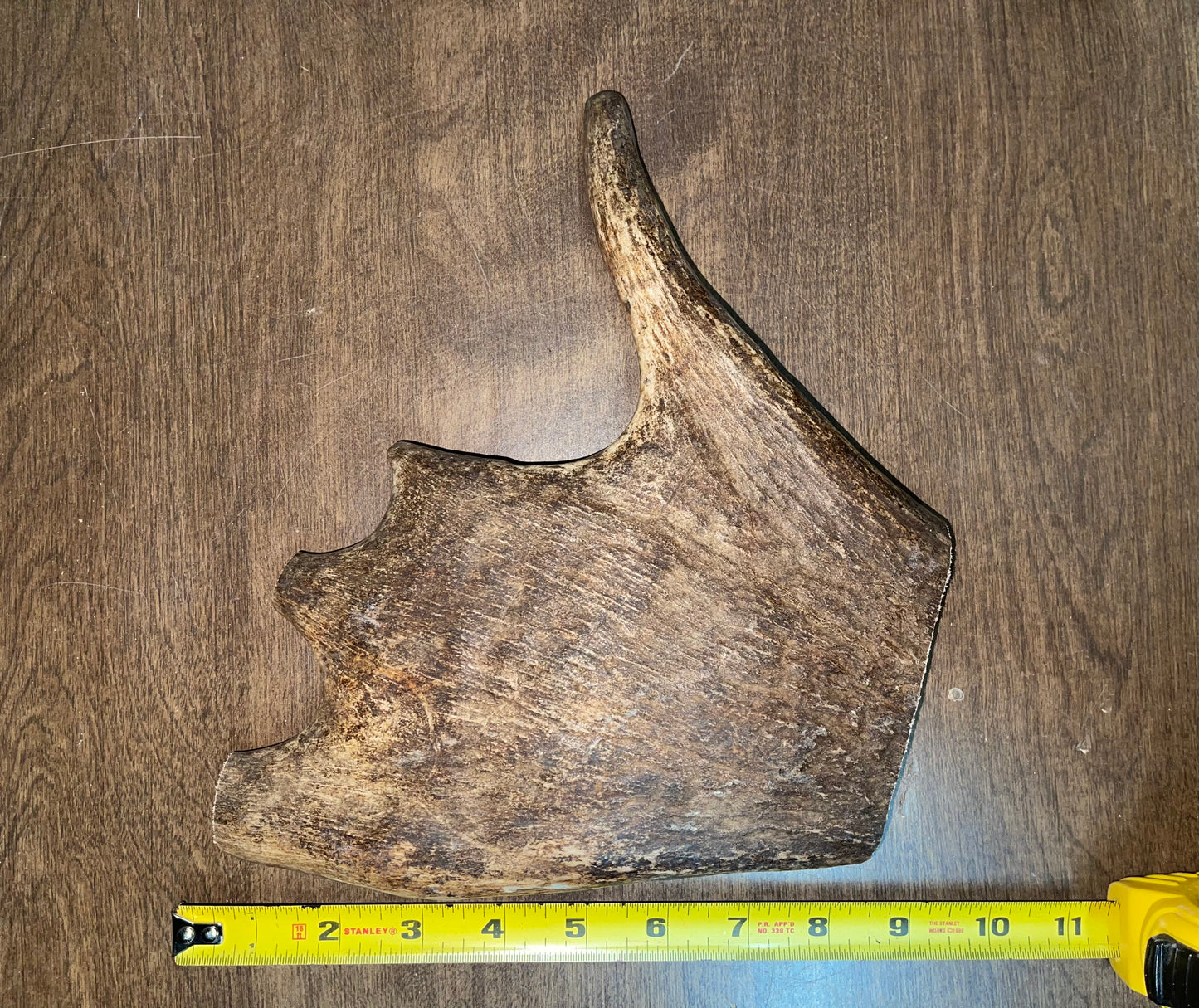BF-44- Monster Moose Paddle
