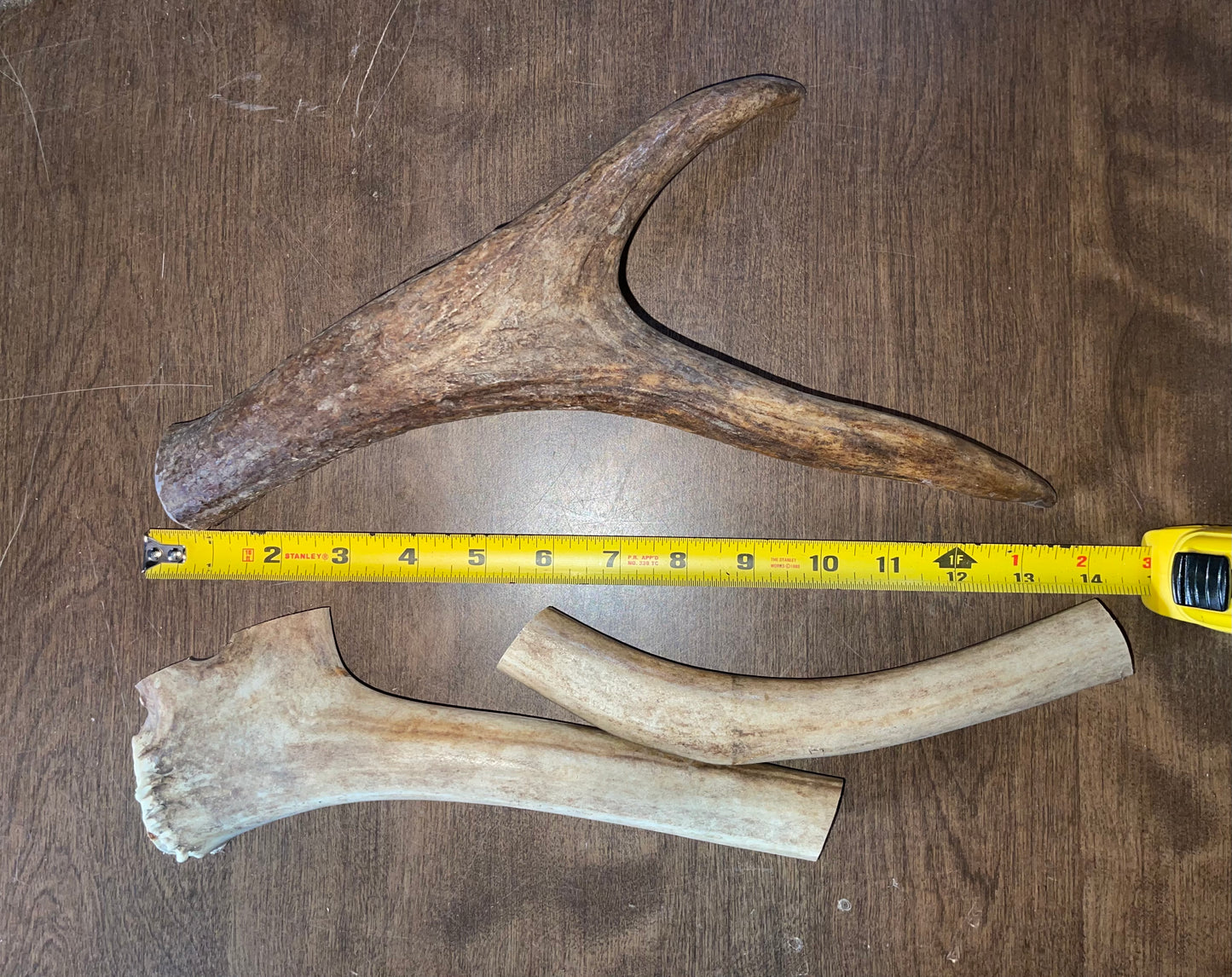 Clearance-18-Caribou Beam Duo/Moose Claw