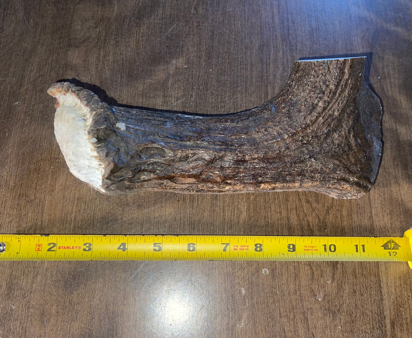 BF-75-4XL Monster Moose Beam