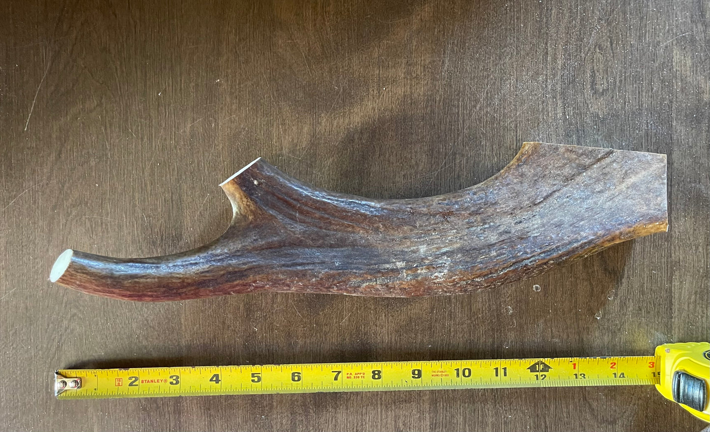 Sept-13 Monster Moose Tine for powerful chewers