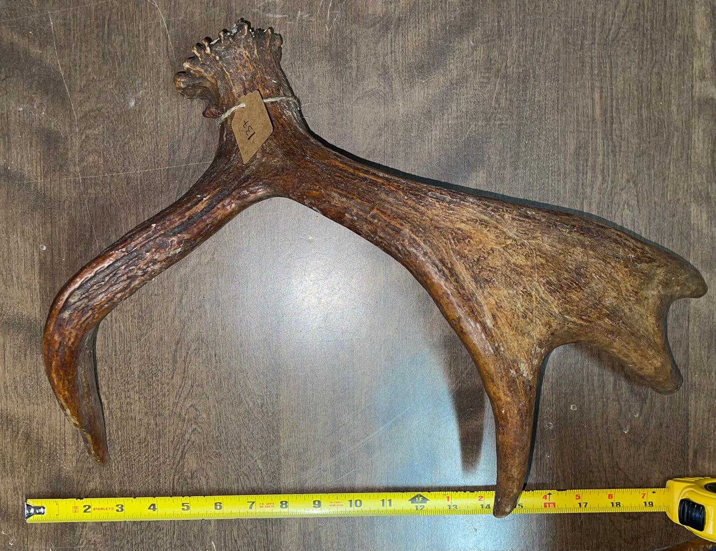 BF-137- Moose Shed
