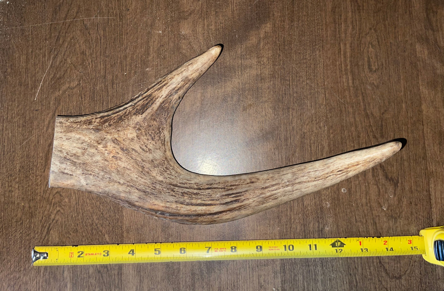 BF-95-Moose Claw Massive