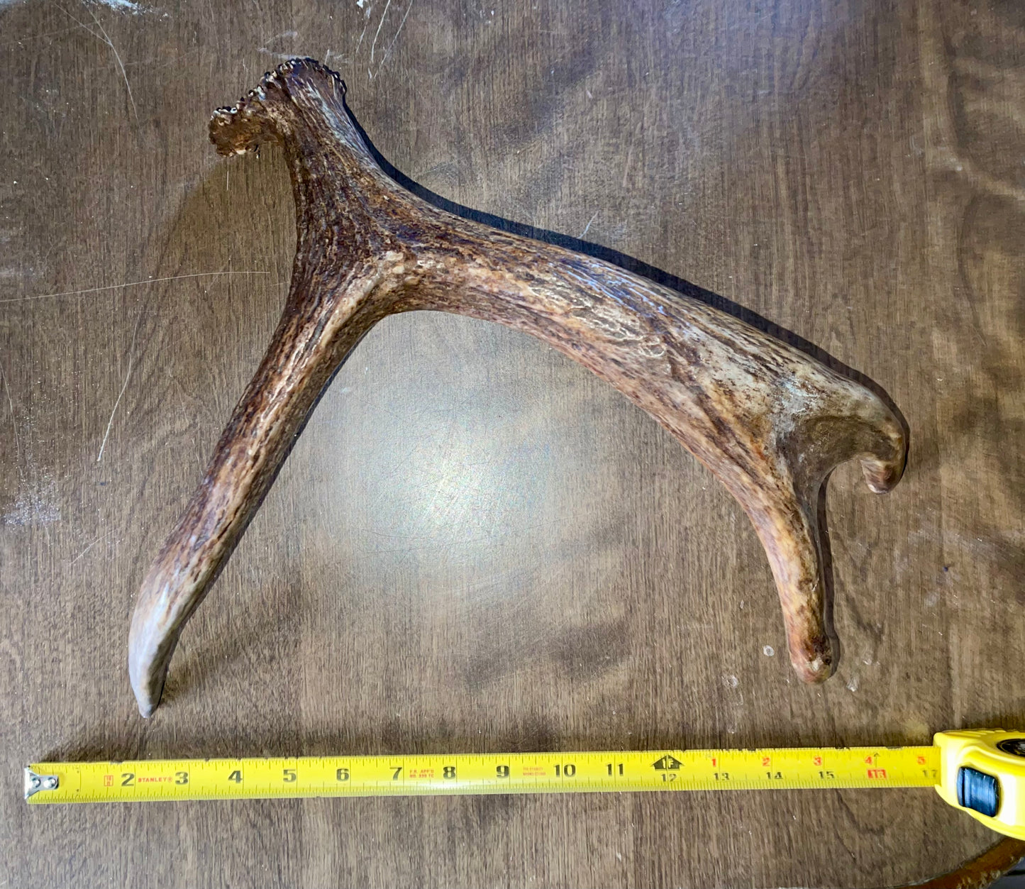 Clearance-28 Moose Shed