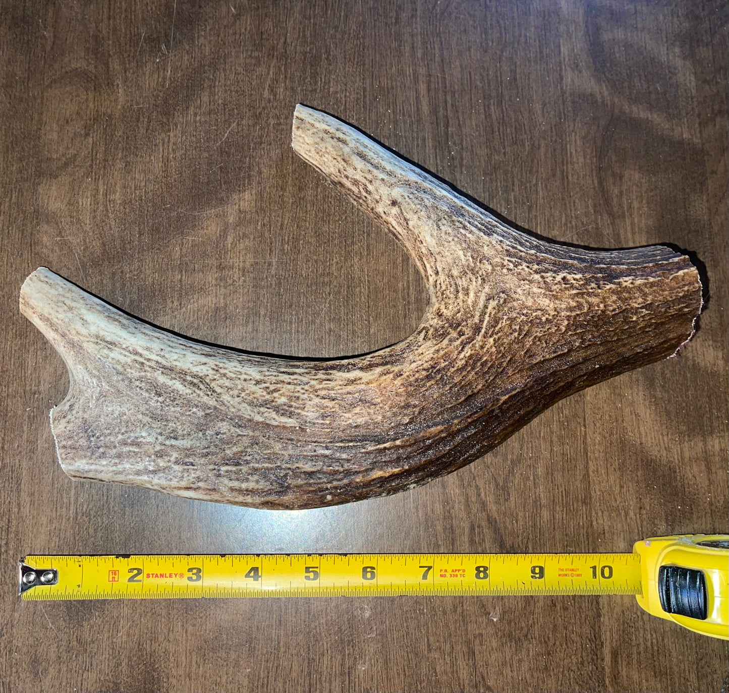 Dec-13 Monster Moose Claw for Very Good chewers