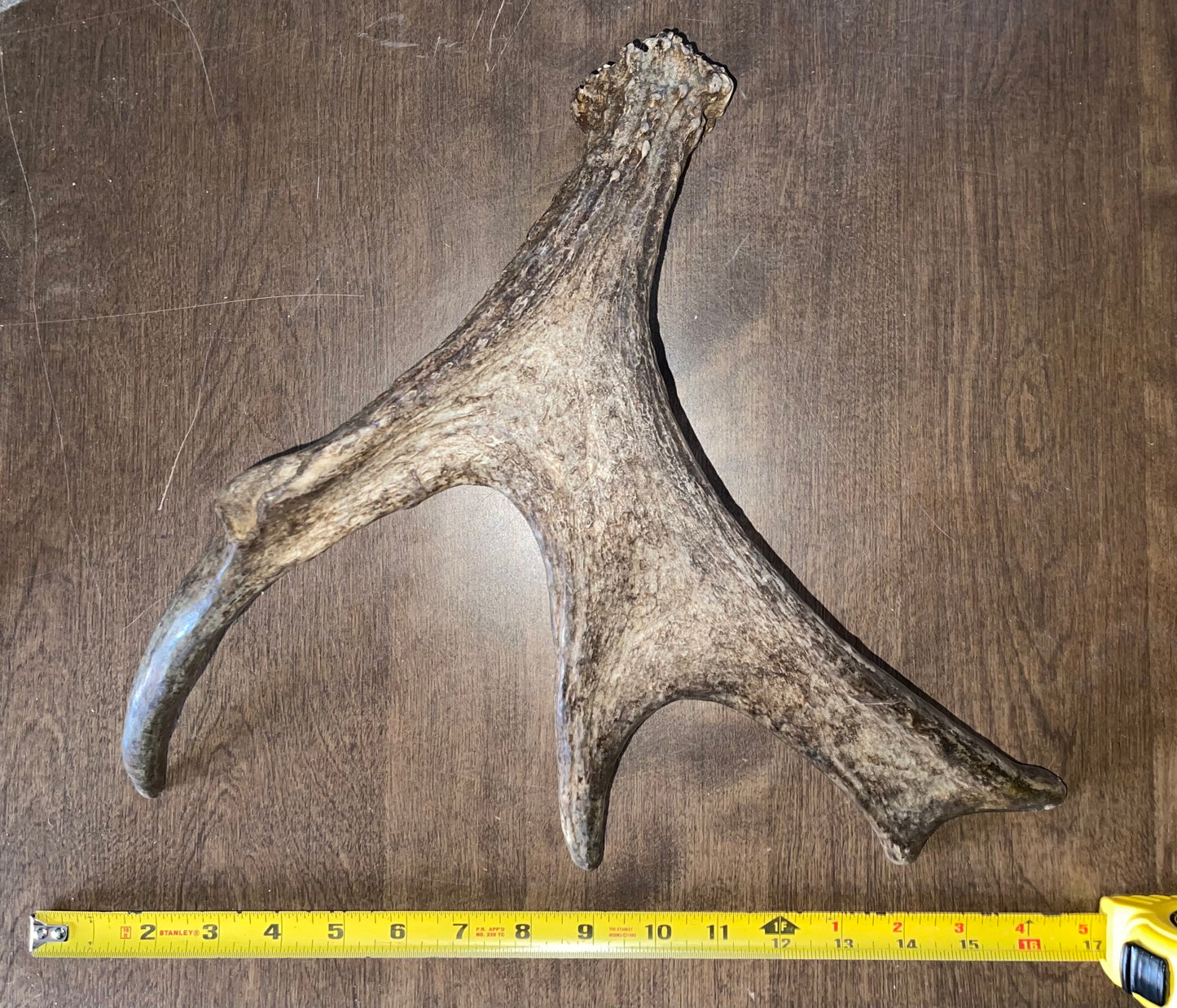 Clearance-27 Moose Shed