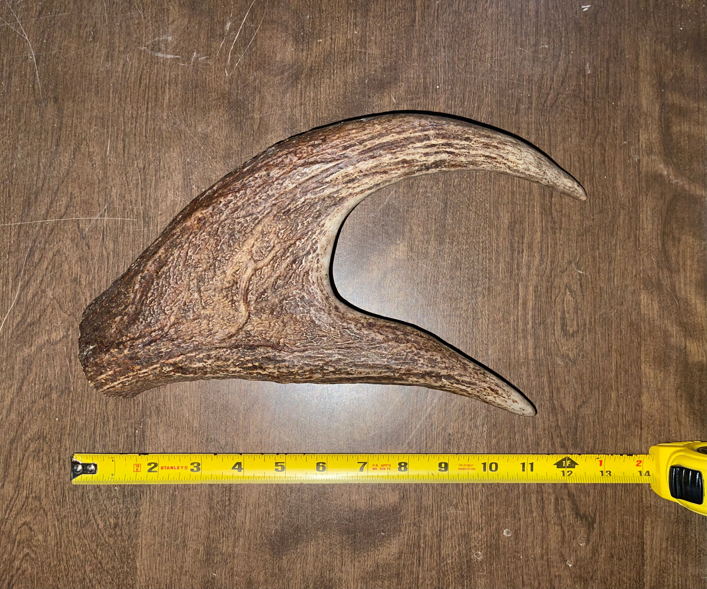 Oct -30 Monster Moose Claw