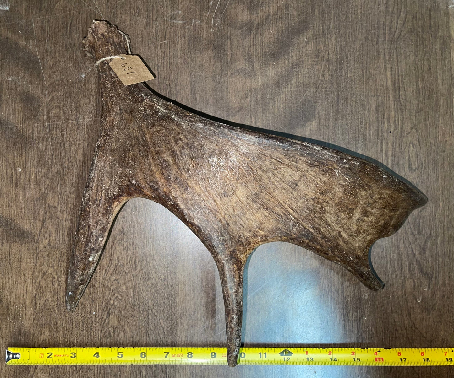 BF-139-Moose Shed