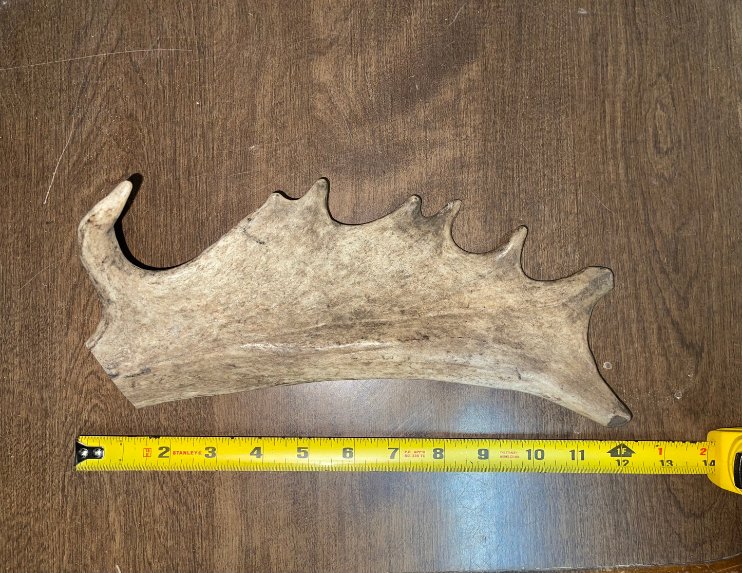 BF-59- Fallow Deer Paddle