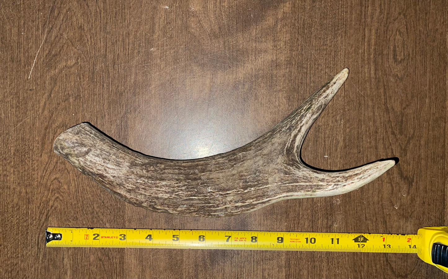 BF-91- Moose Claw
