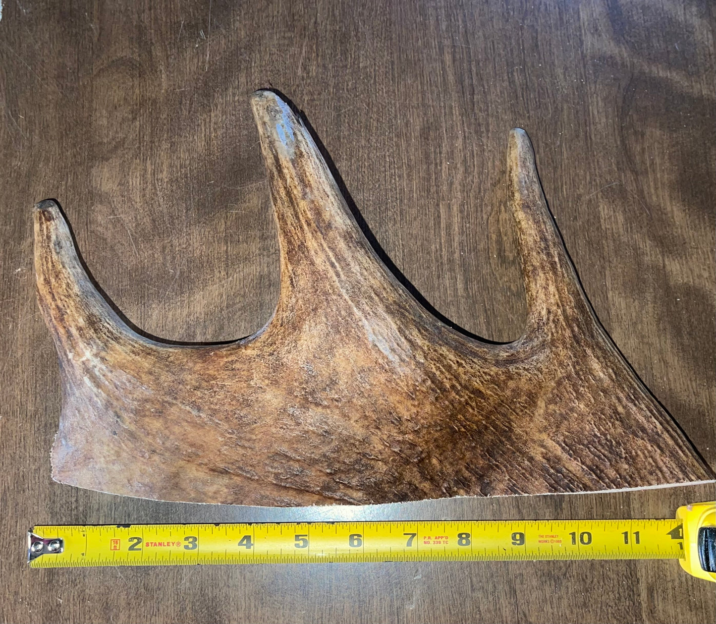 Dec-10 Monster Moose Paddle Large for good chewers