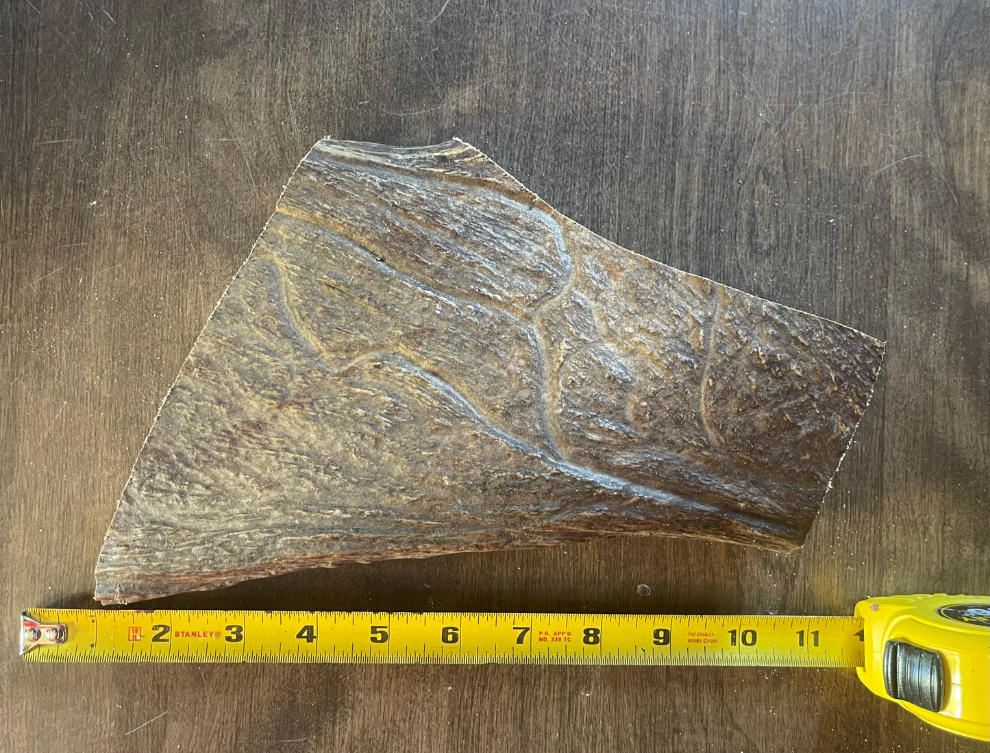 Sept-23 Monster Moose Paddle Chunk XL for very good chewers