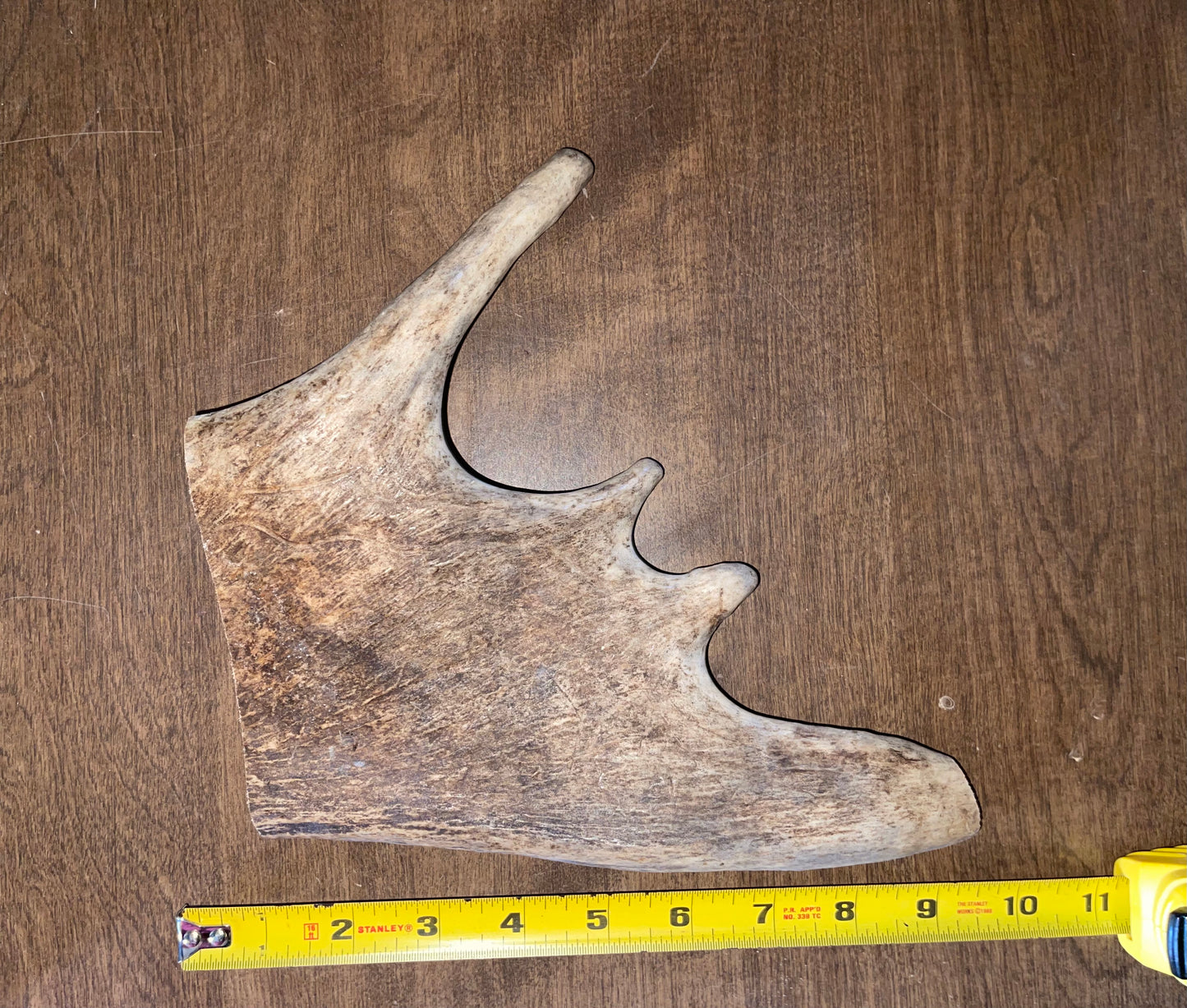 BF-7-XL Plus Moose Paddle