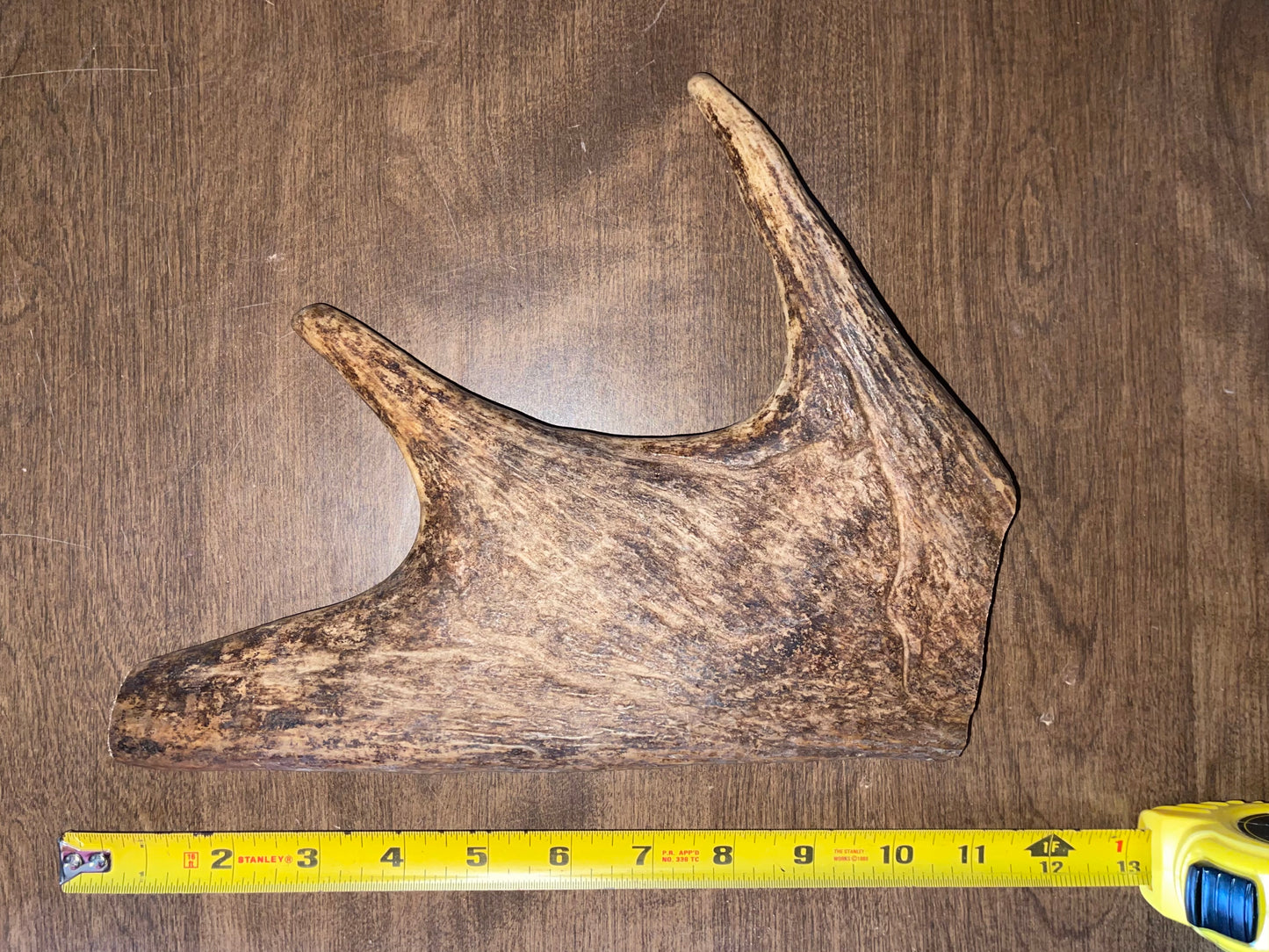 BF-10-Monster Moose Paddle