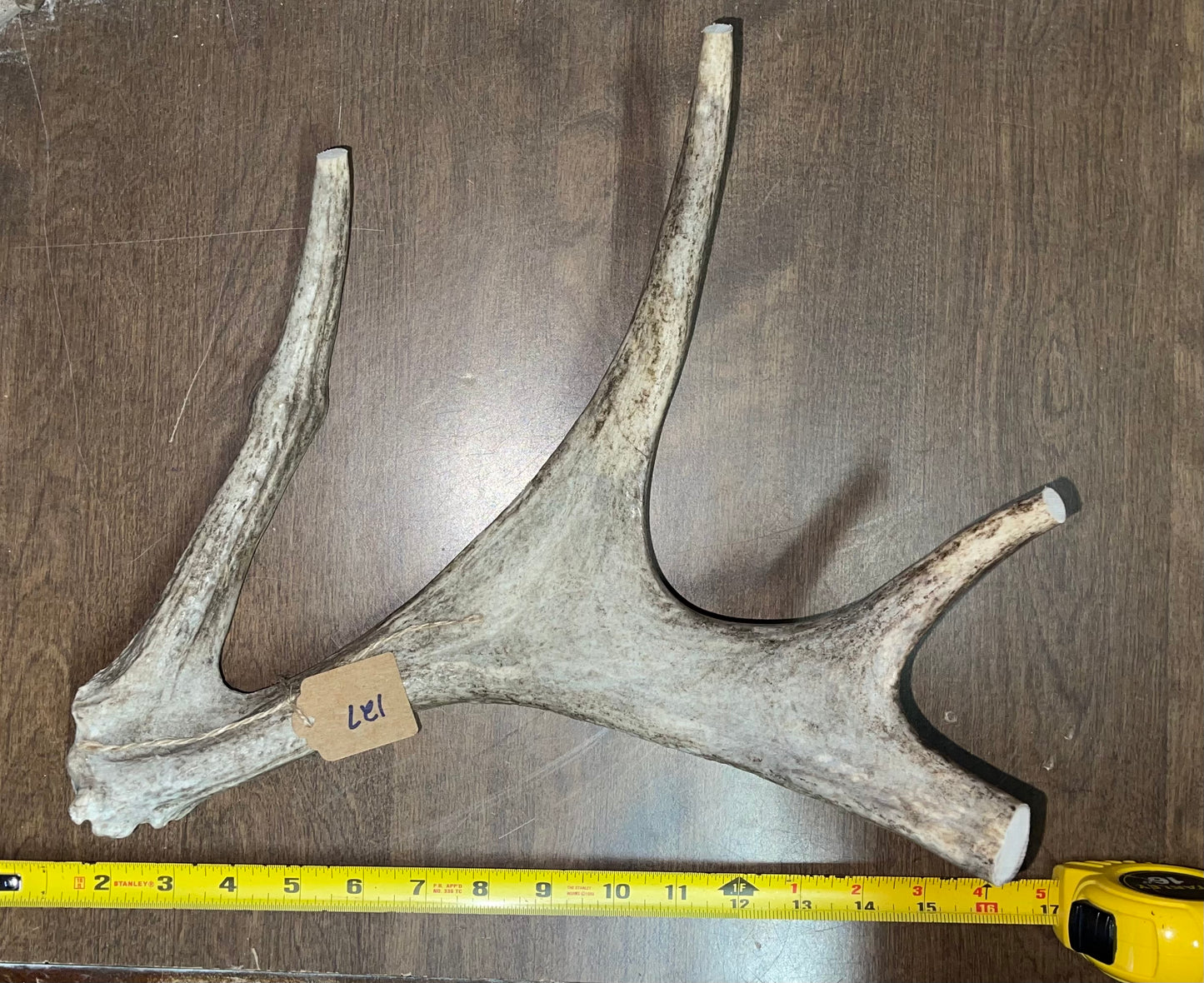 BF-127-Moose Shed