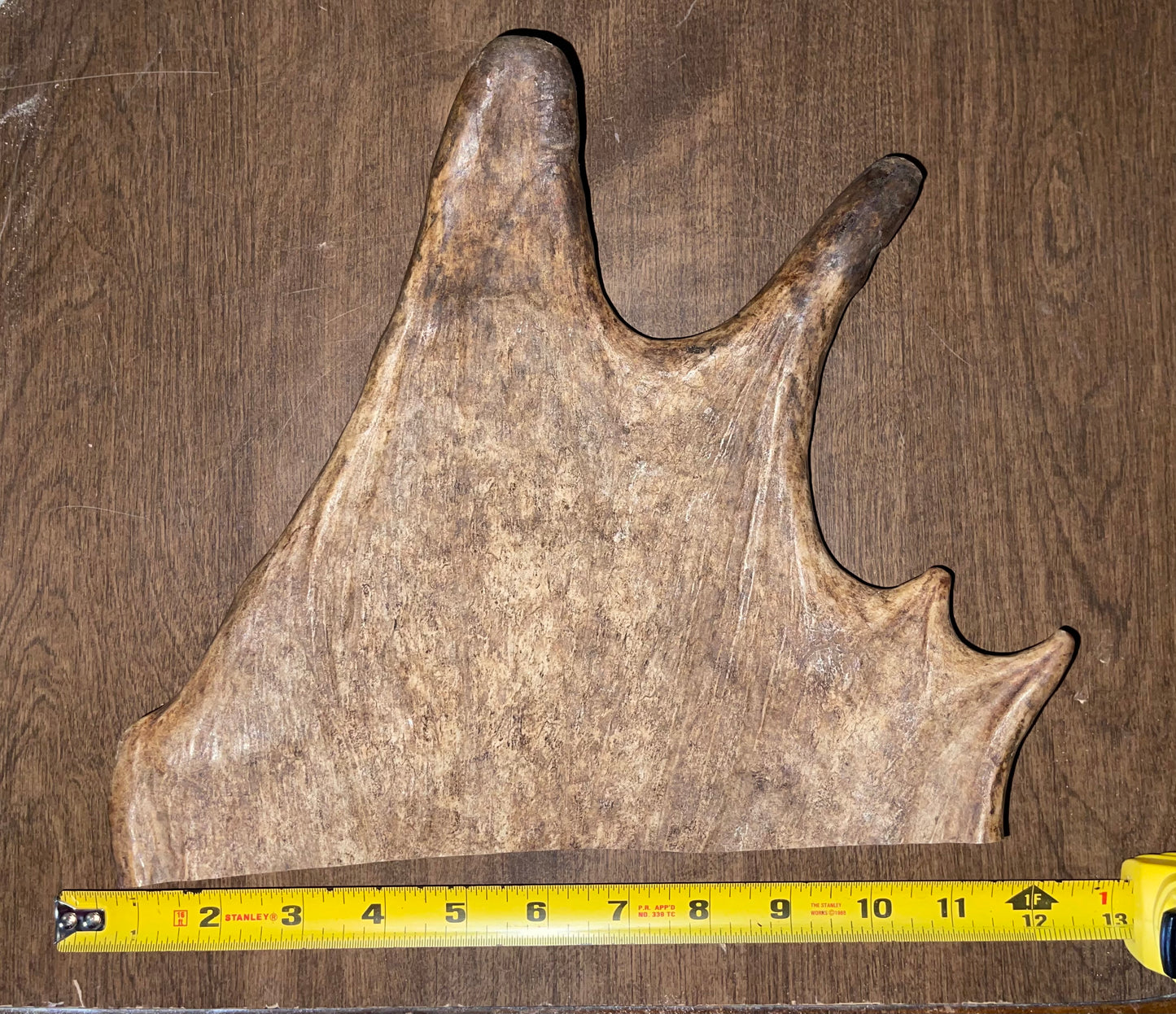 BF-31-Monster Moose Paddle