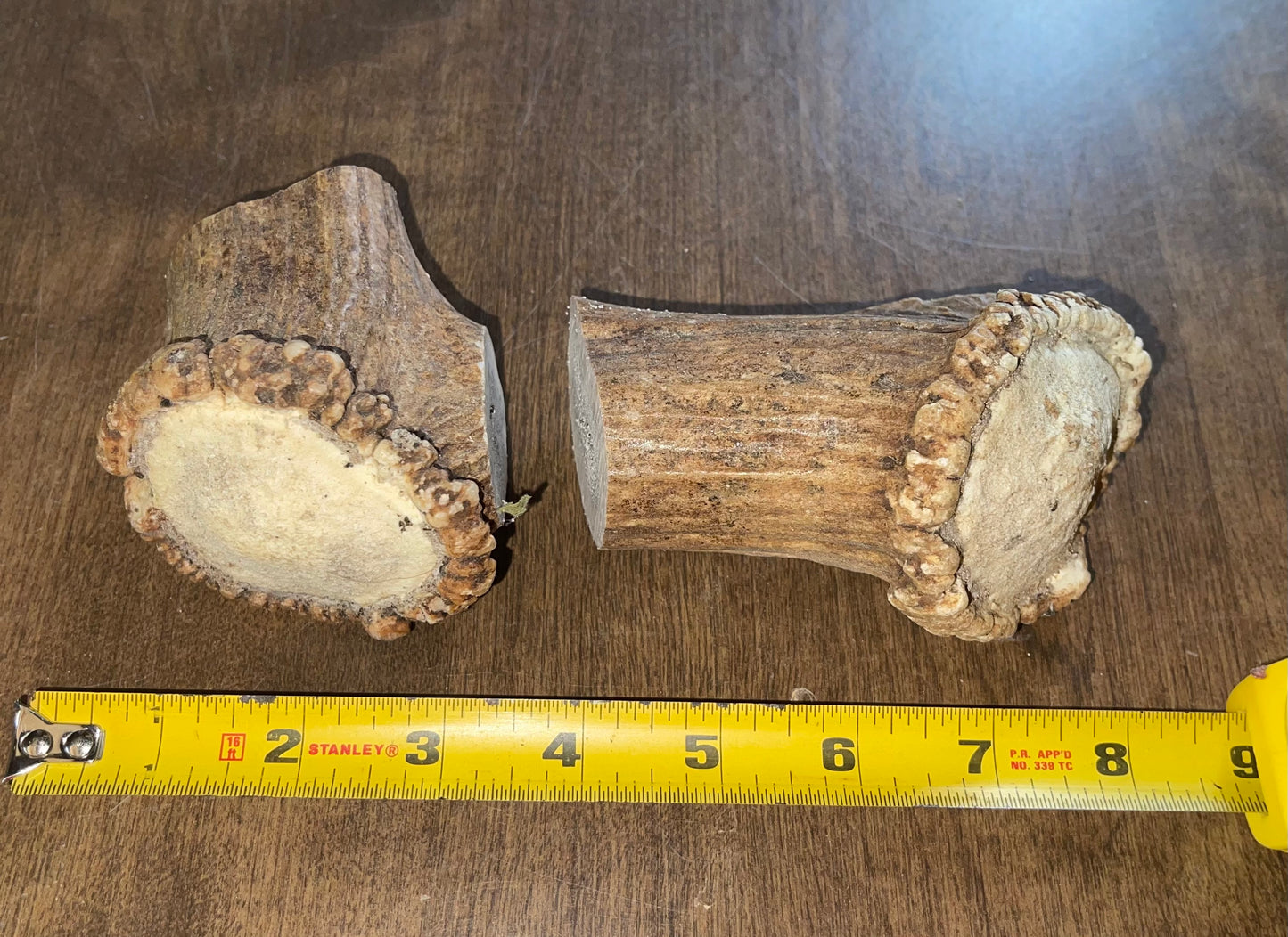 June-15 Elk Burr Duo for very good chewers ( dogs up to 50 lbs) (Copy)