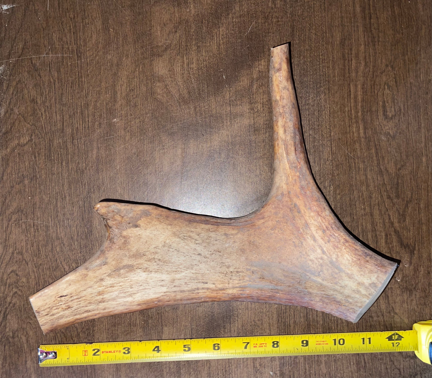 BF-6- Monster Moose Paddle