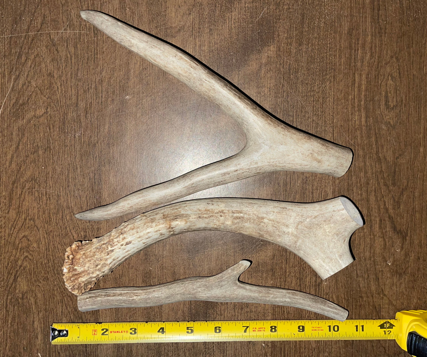 BF-83- Mule Deer Trio