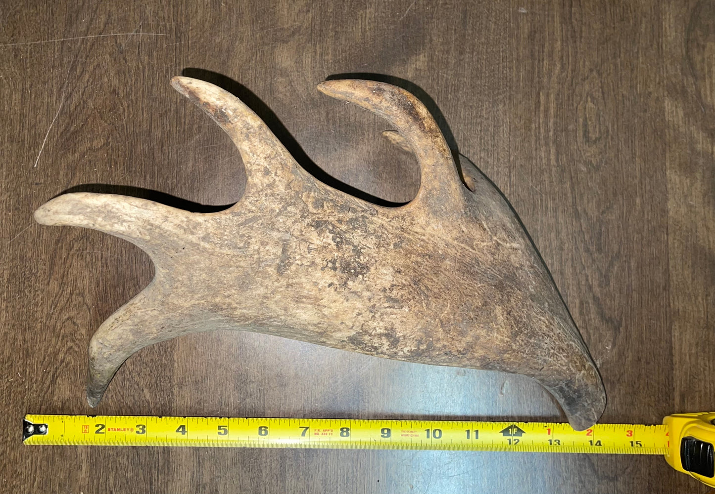 BF-56- Fallow Deer Paddle