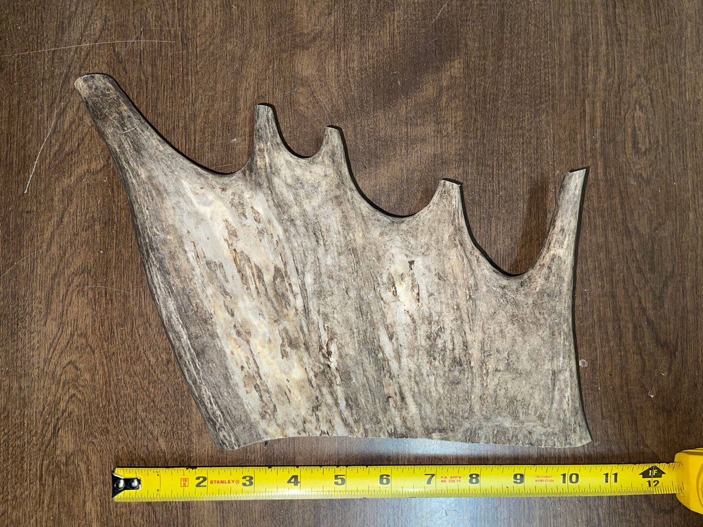 BF-48- Monster Moose Paddle