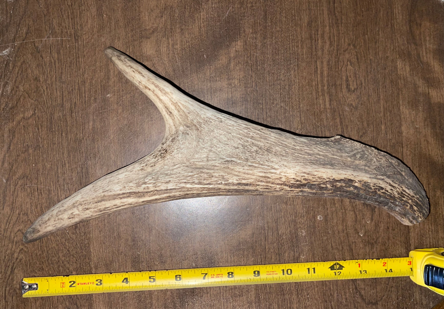 BF-25- Monster Moose Paddle