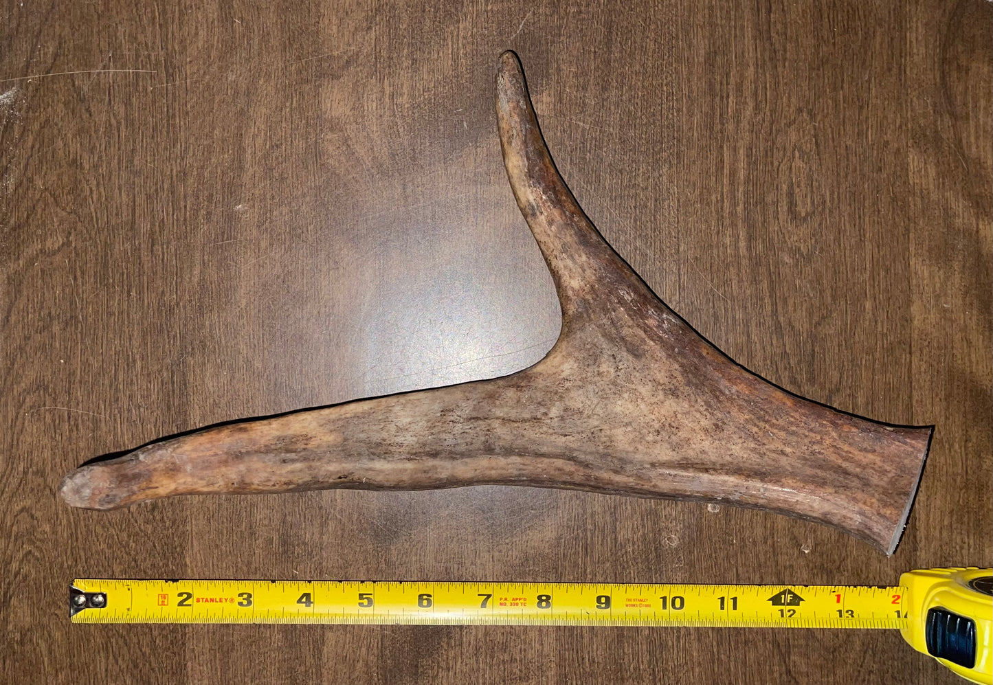 BF-5-XL Plus Moose Paddle