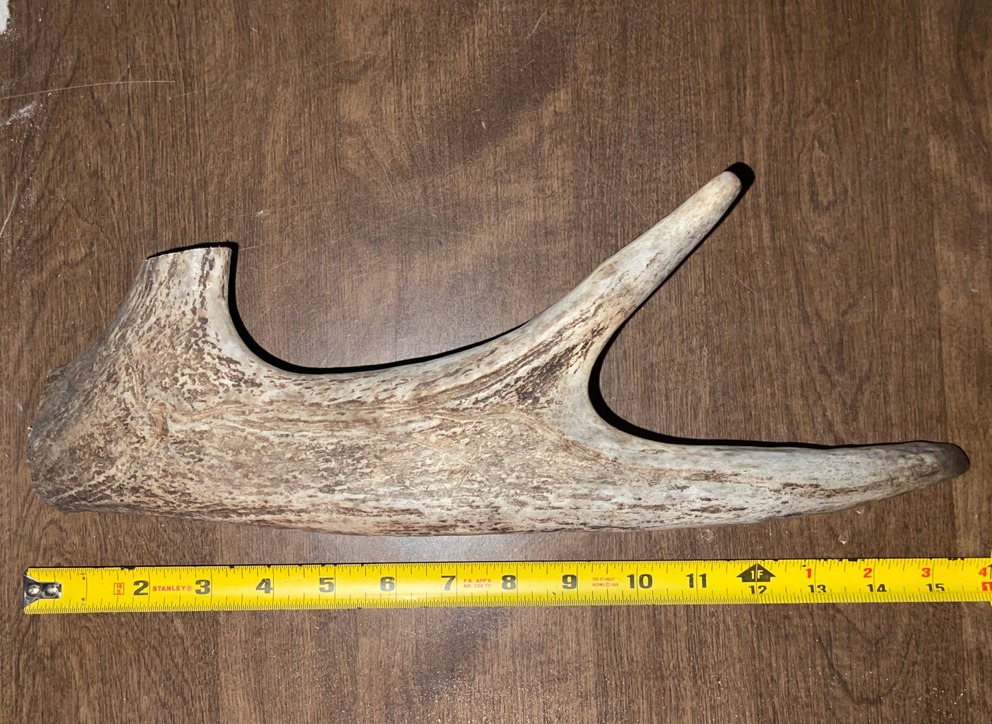 BF-26- Monster Moose Paddle