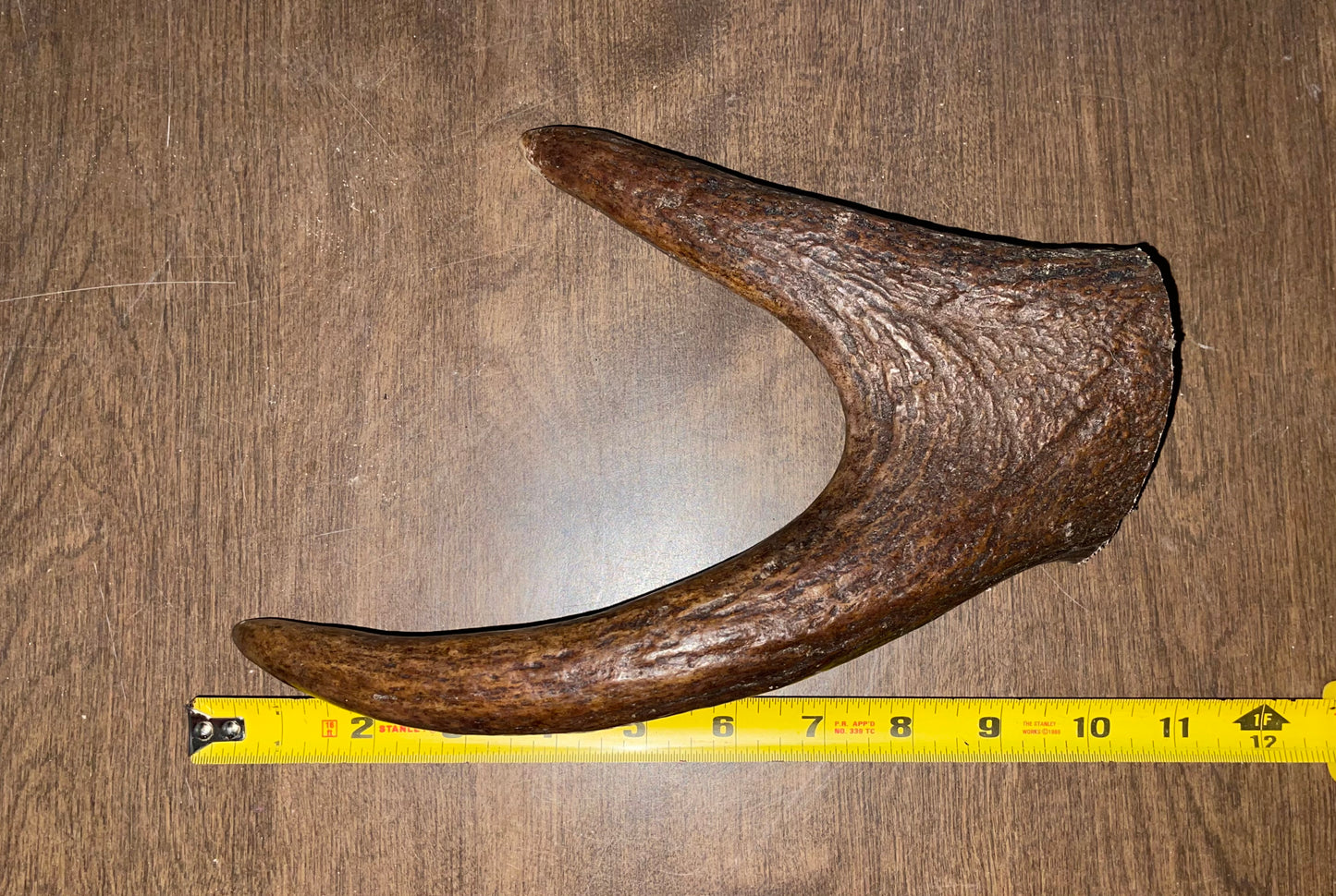 Oct -31 XL Plus Moose Claw