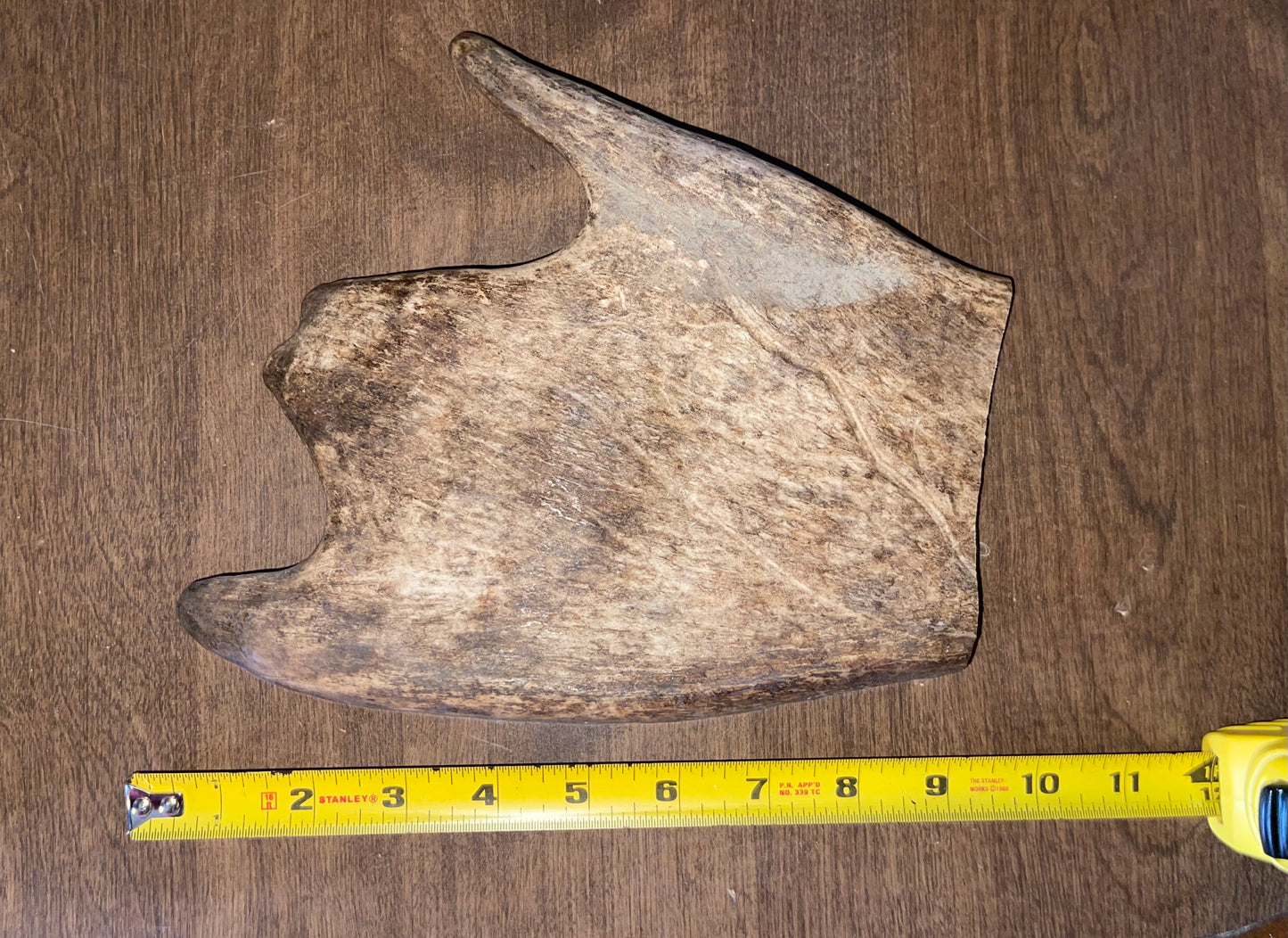 BF-15- Monster Moose Paddle