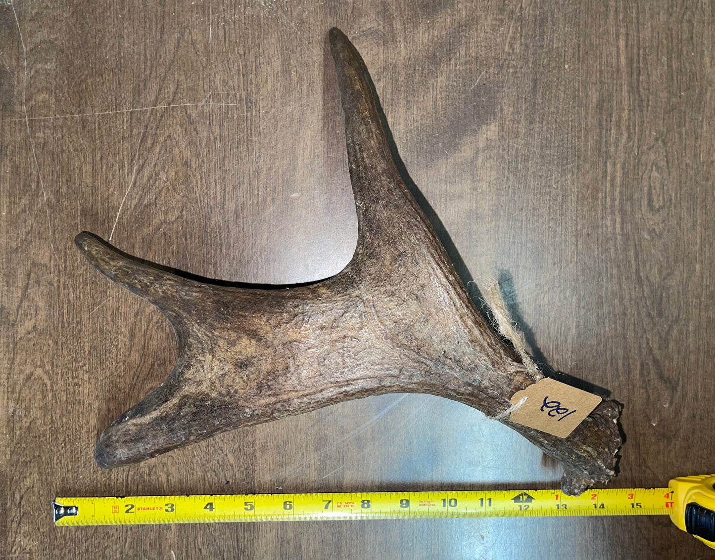 BF-122-Moose Shed