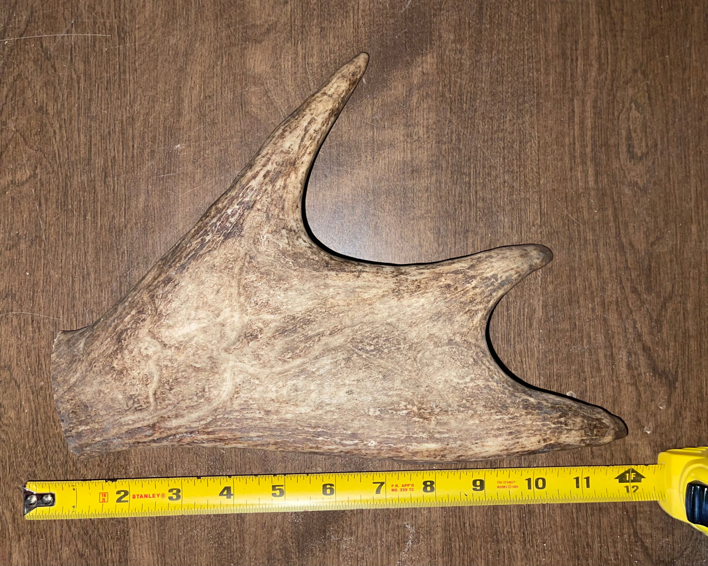 BF-29-Monster Moose Paddle