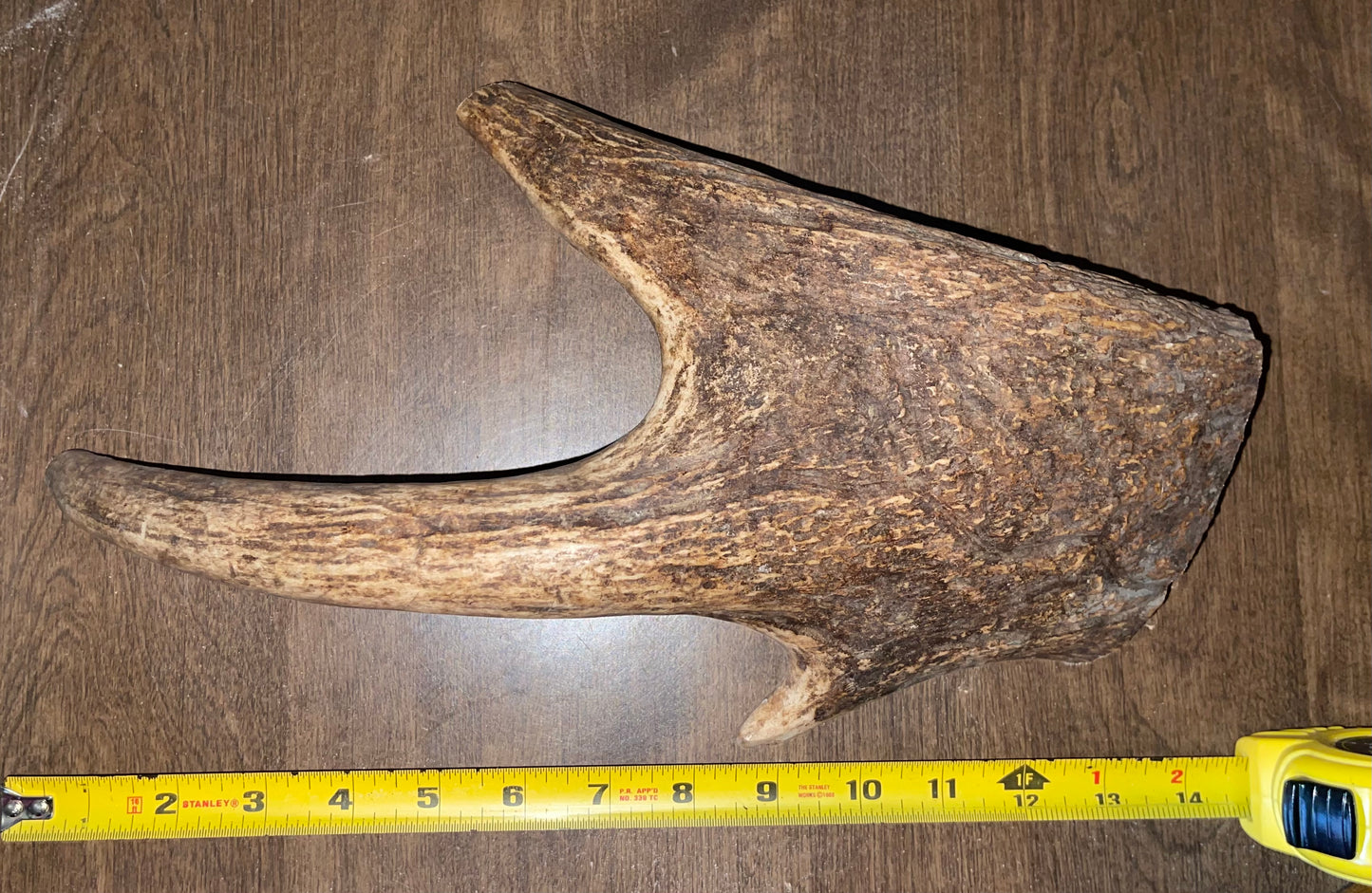 BF-27-Massive Moose Paddle