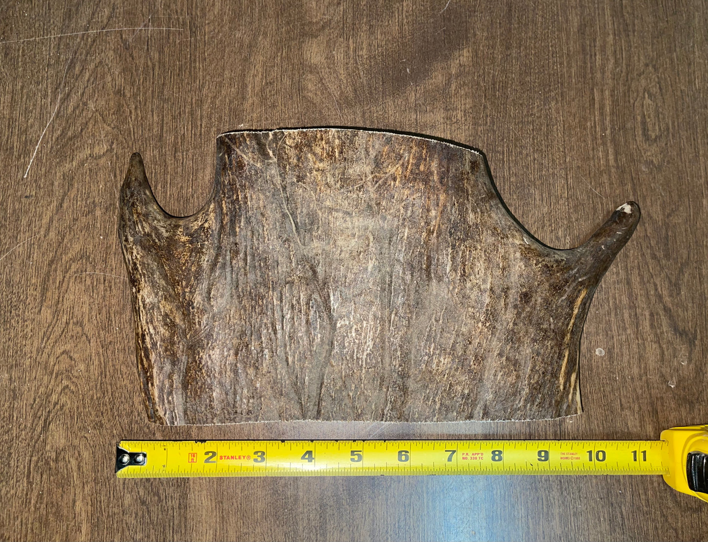 BF-43- Monster Moose Paddle