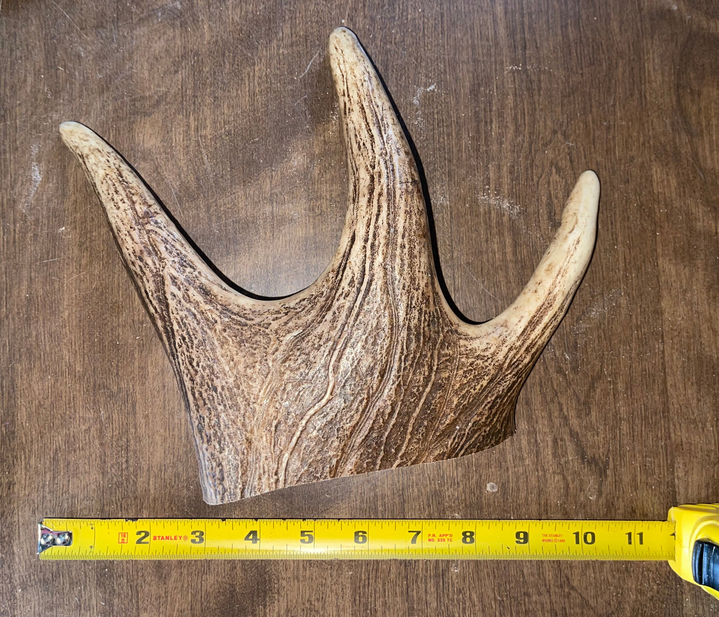 Nov-14- Monster Moose Paddle
