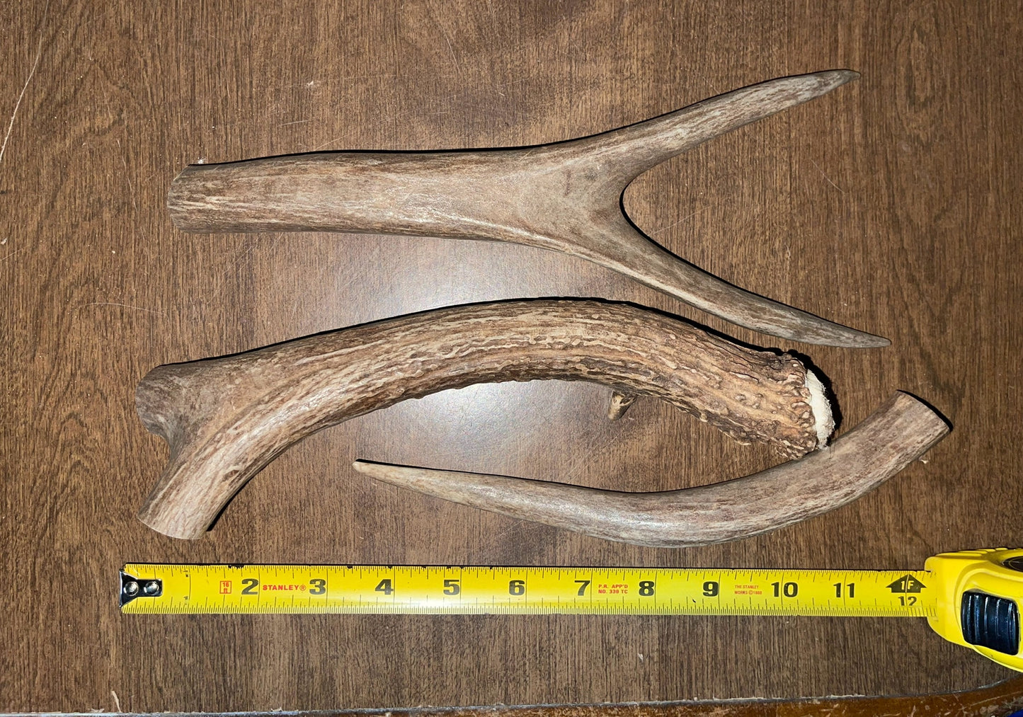 BF-81- Mule Deer Trio