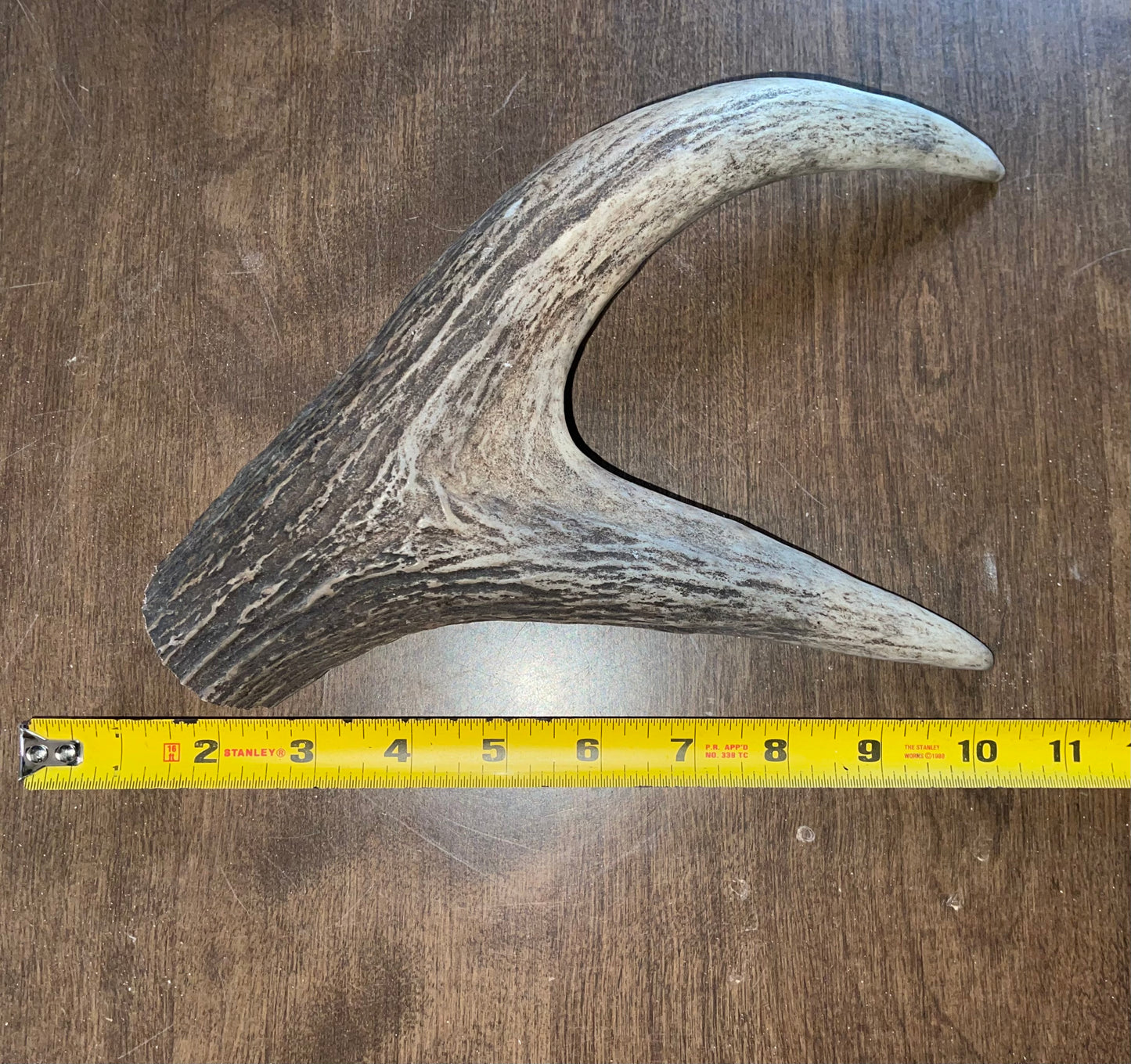 Jan-3 Monster Moose Claw for Very Good chewers