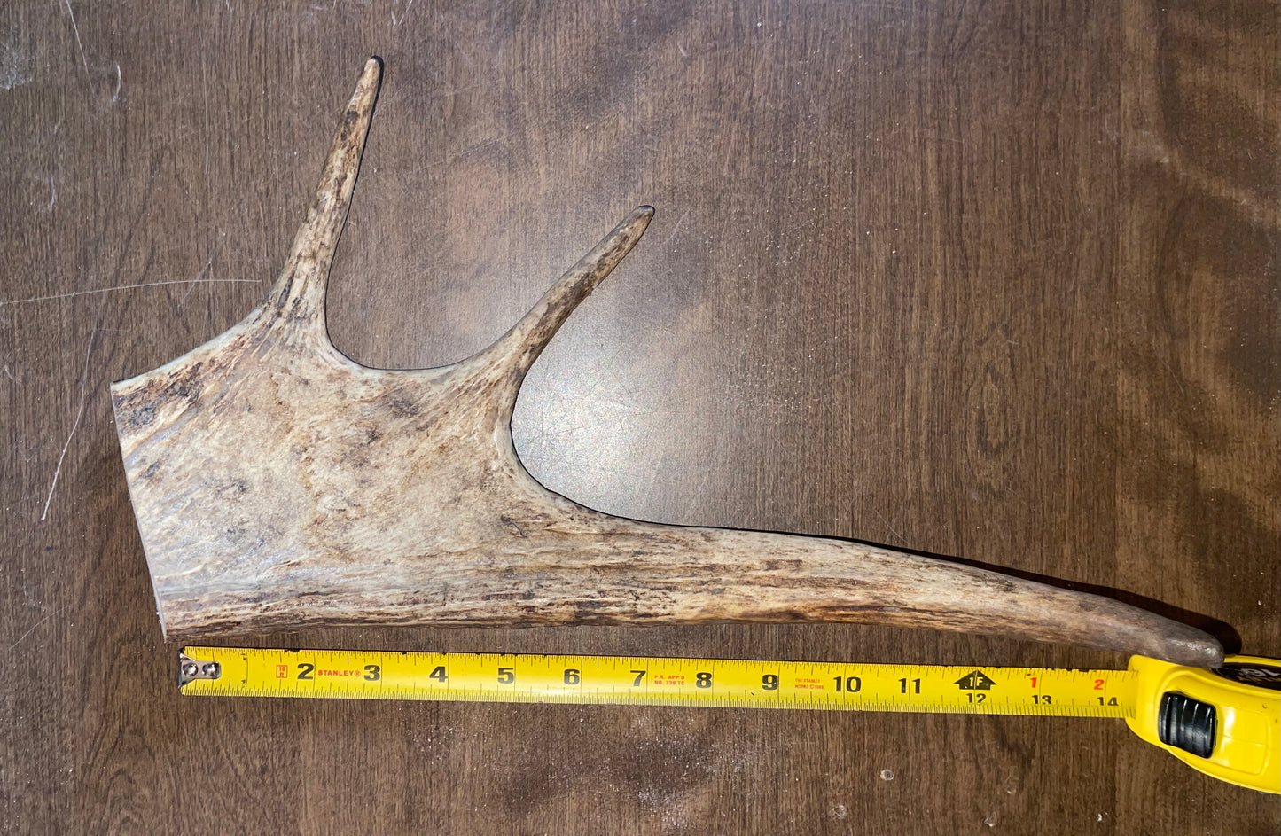 Oct -63 Monster Moose Paddle