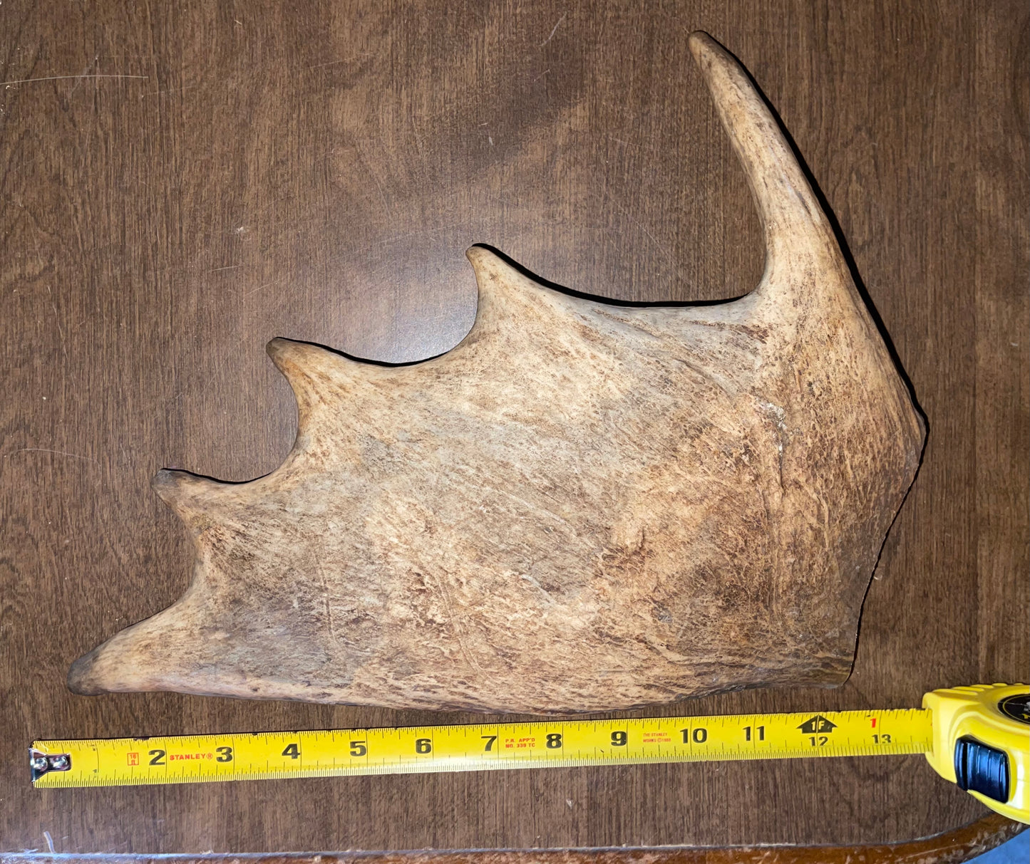 BF-16-Monster Moose Paddle