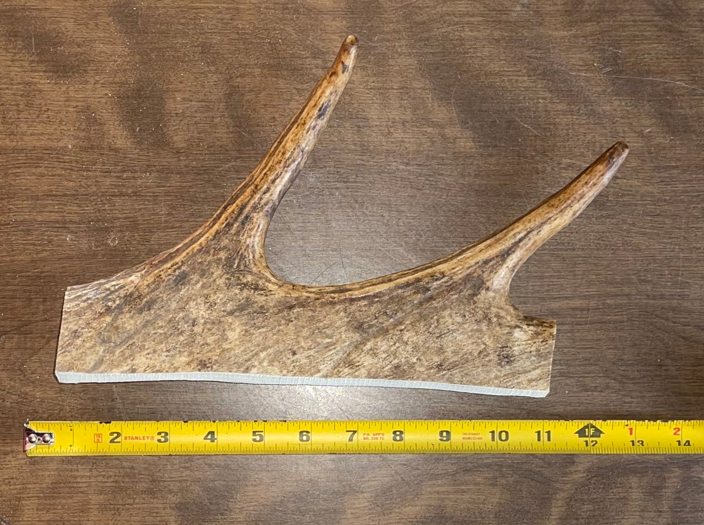 Aug-9 XL Plus Moose paddle for good chewers