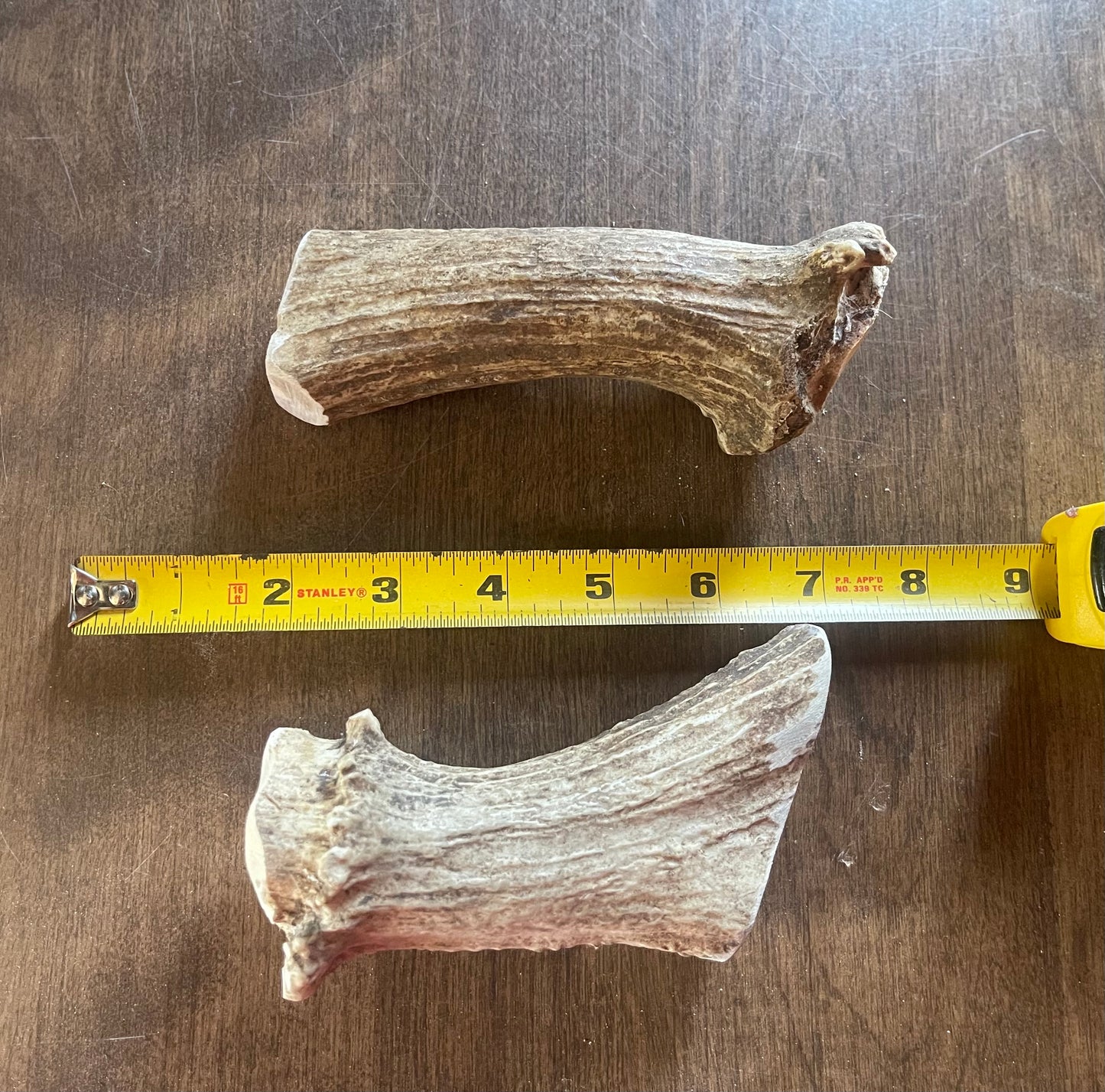 July-18 Moose Beam Duo for good chewers