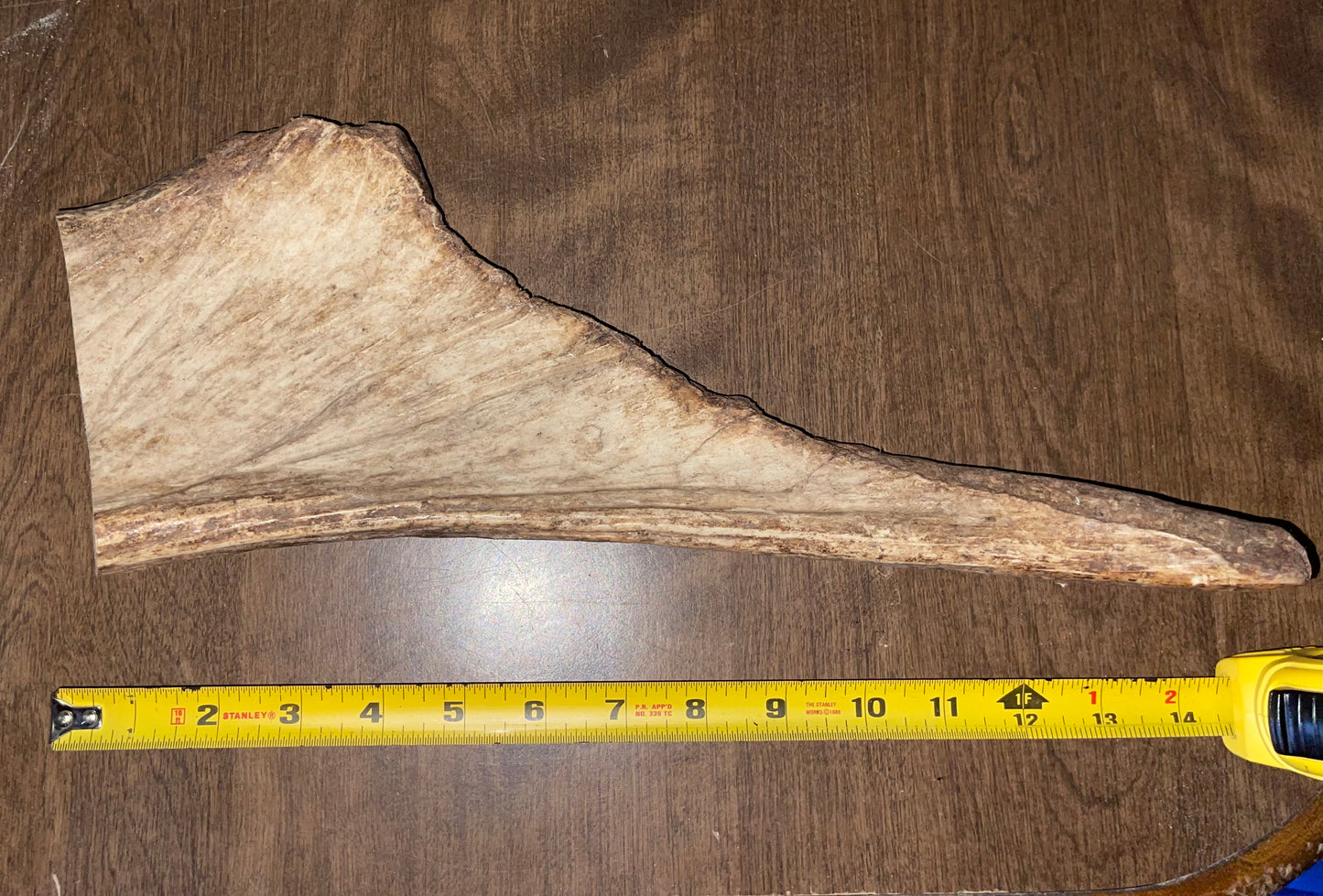 BF-35-XL Plus Moose Paddle