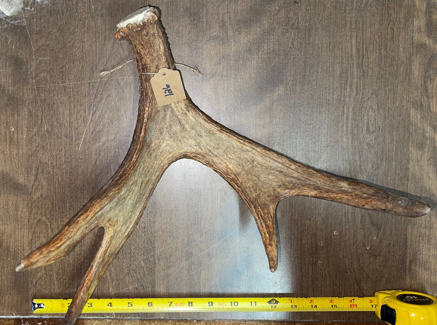 BF-126-Moose Shed