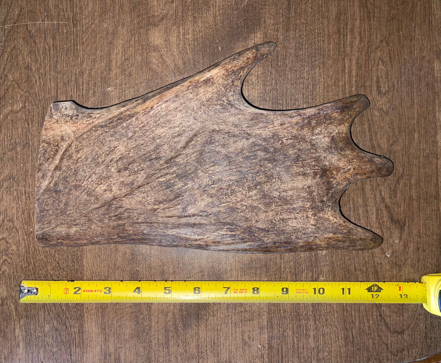 BF-17-Monster Moose Paddle