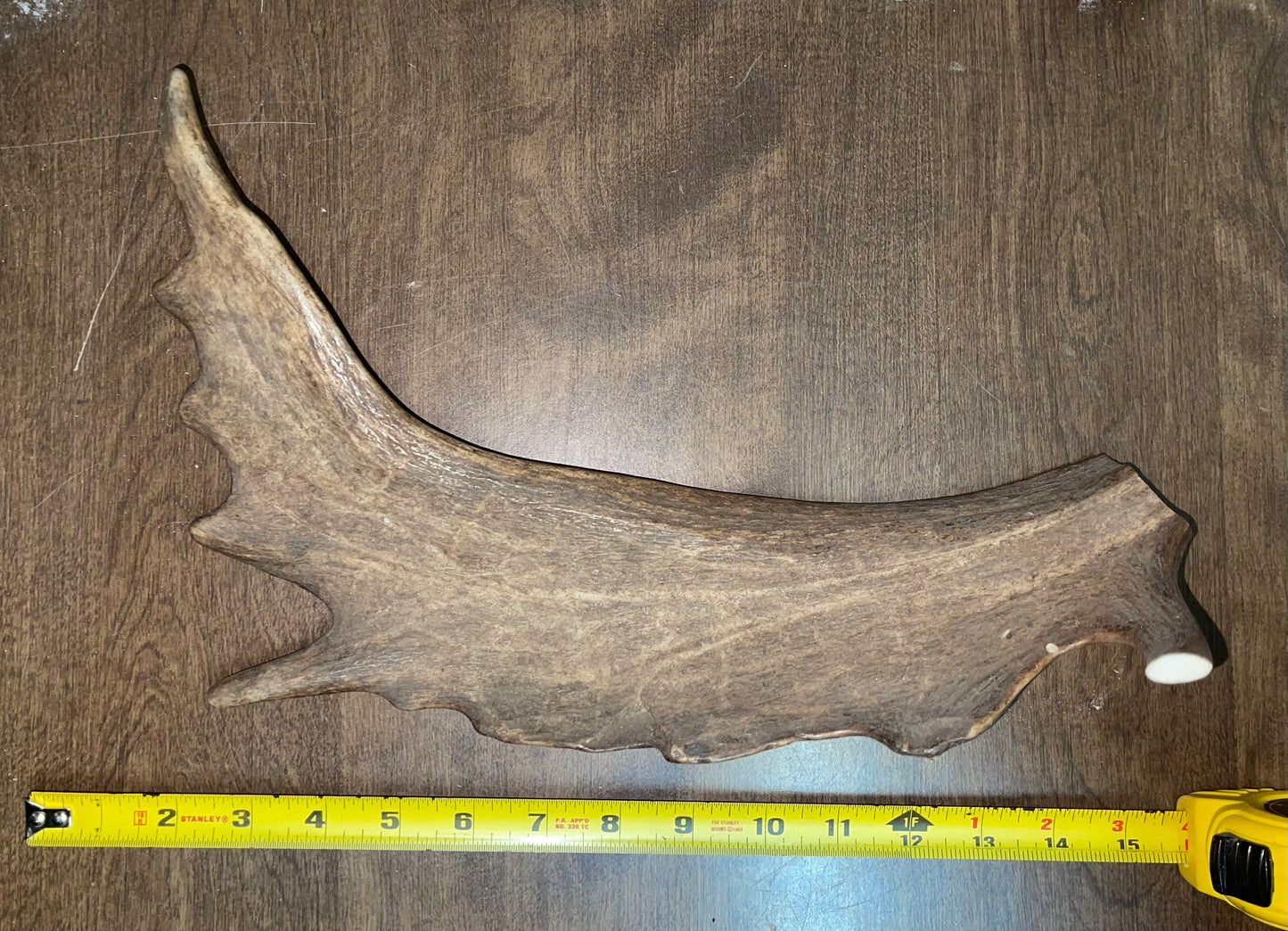 BF-57- Fallow Deer Paddle