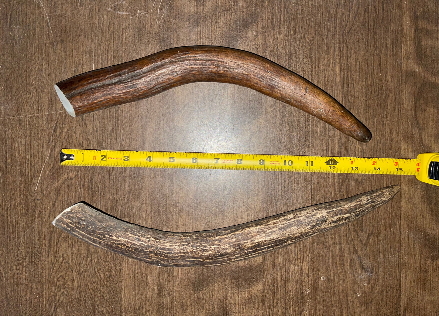 Clearance-26- Massive Moose Tine Duo