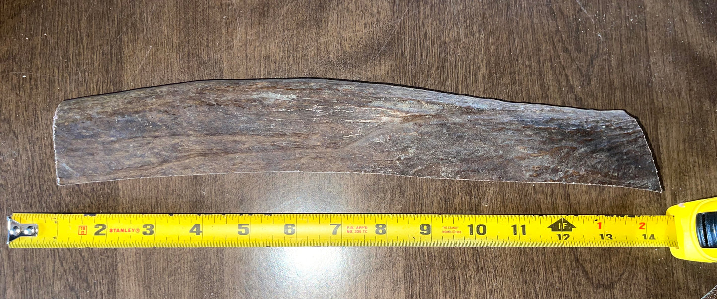 Sept-75-Monster Moose Paddle End Piece for good to very good chewers