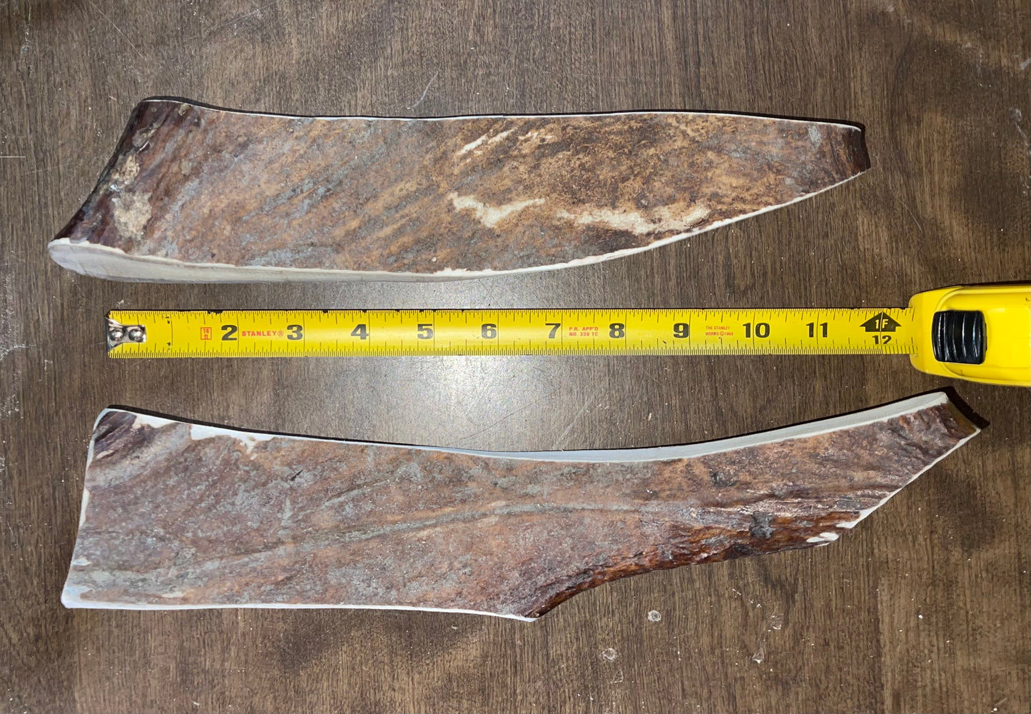 Nov-7-Thick Moose Paddle Duo