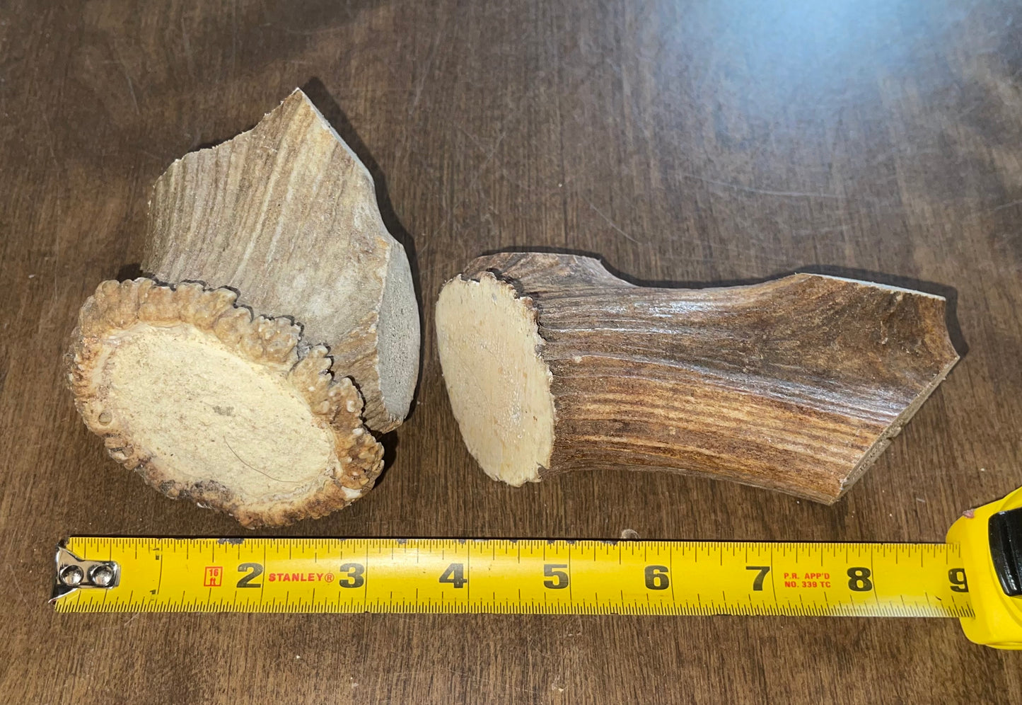 June-14 Elk Burr Duo for very good chewers ( dogs up to 50 lbs)